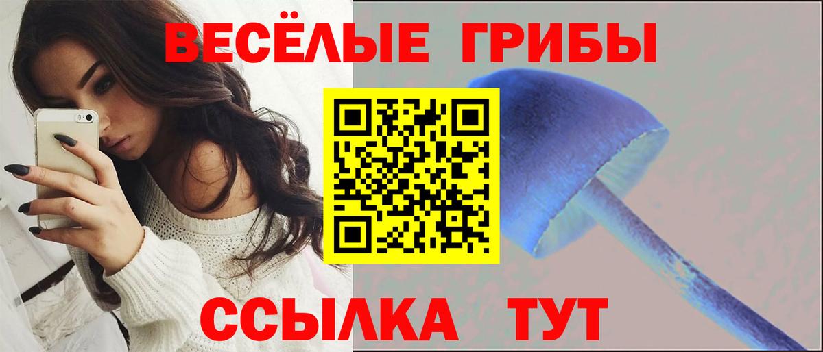Псилоцибиновые грибы MAGIC MUSHROOMS  Псилоцибиновые грибы мухоморы  Красноуфимск  Вход с VPN 