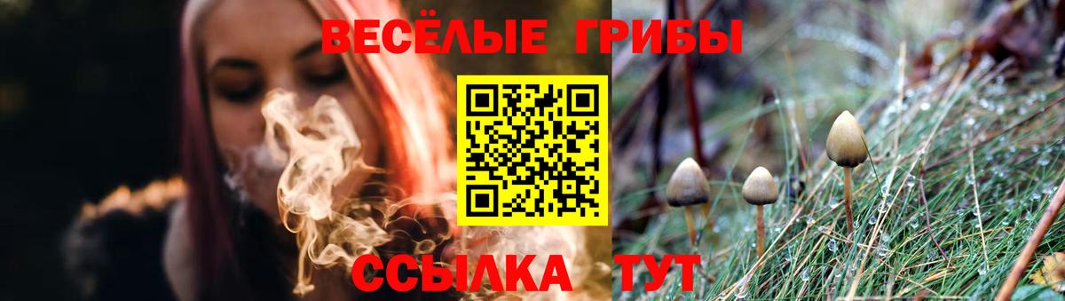 Псилоцибиновые грибы мухоморы Красноуфимск